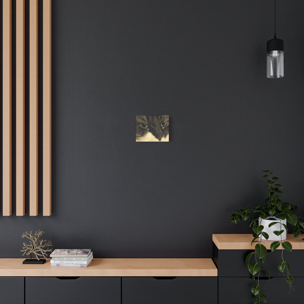 Cat Portrait Matte Canvas Wall Art