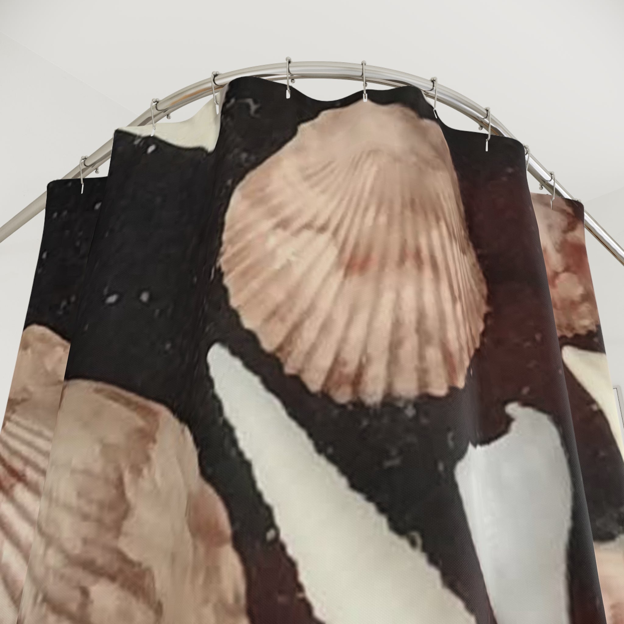 Coastal Shells Shower Curtain