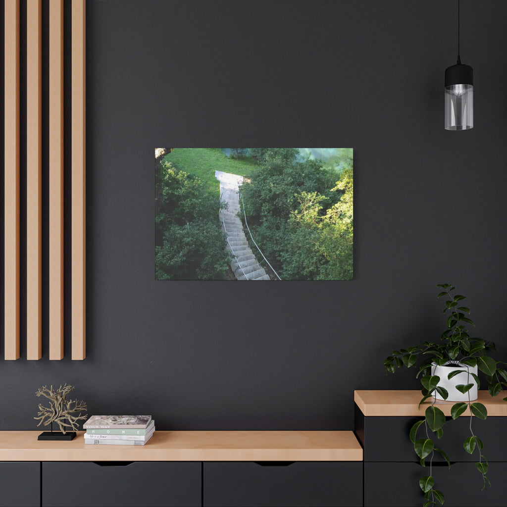 Canvas Wall Art - Forest Stairway Matte Stretched Canvas (1.25")