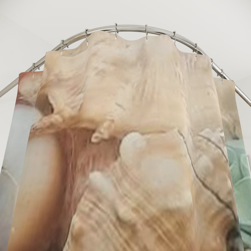 Seashell Coastal Shower Curtain — Beach Bathroom Décor
