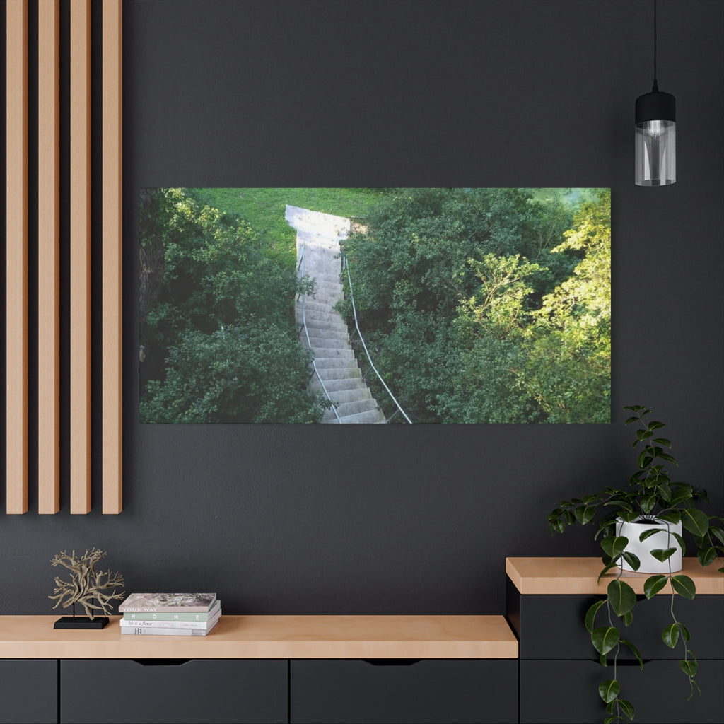 Canvas Wall Art - Forest Stairway Matte Stretched Canvas (1.25")
