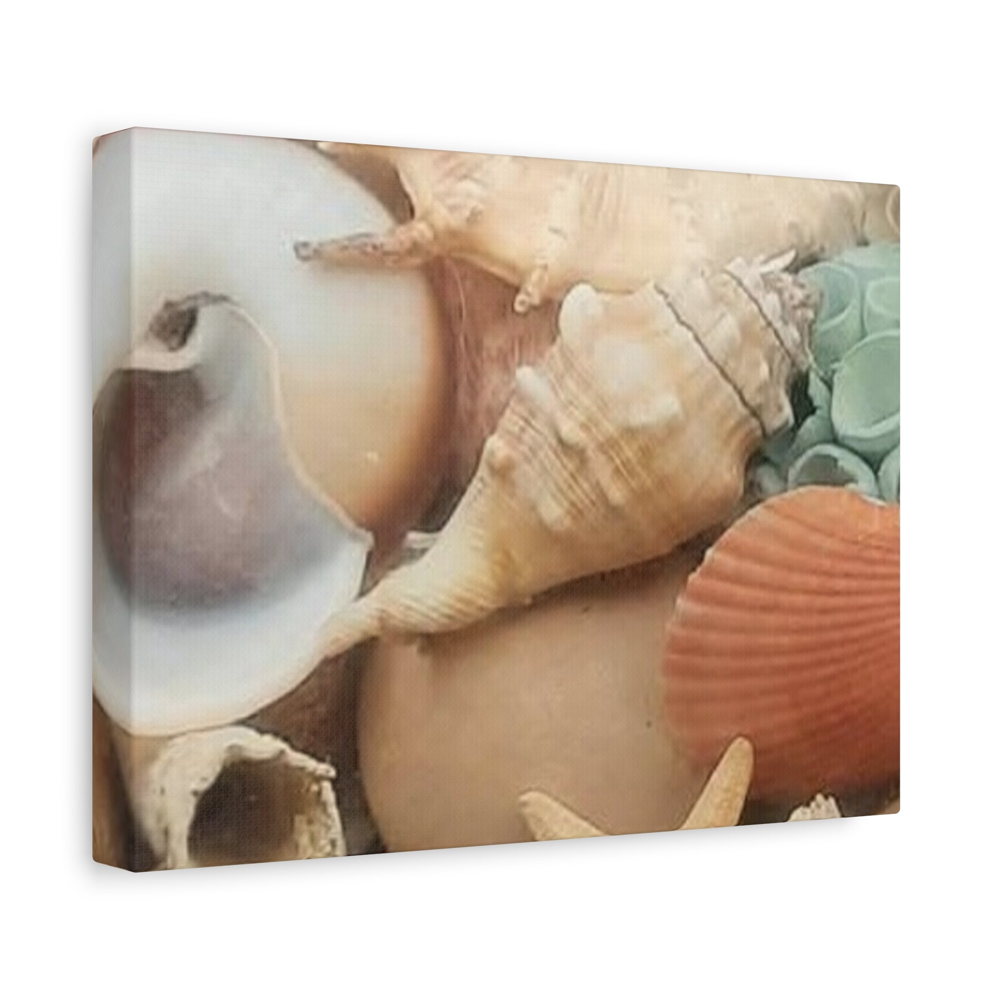 Seashells Beach Canvas Wall Art – Matte Stretched 1.25"