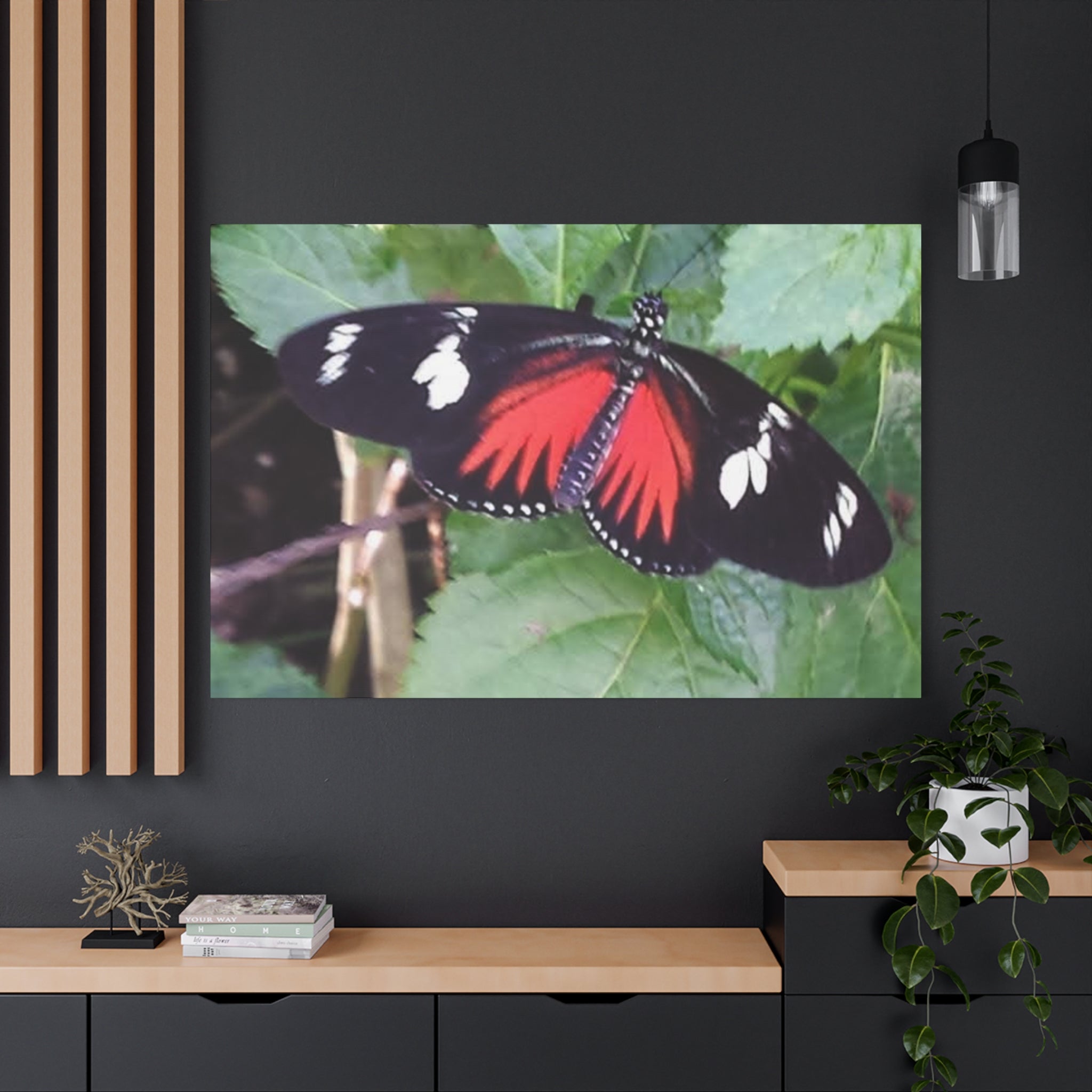 Butterfly Canvas Wall Art