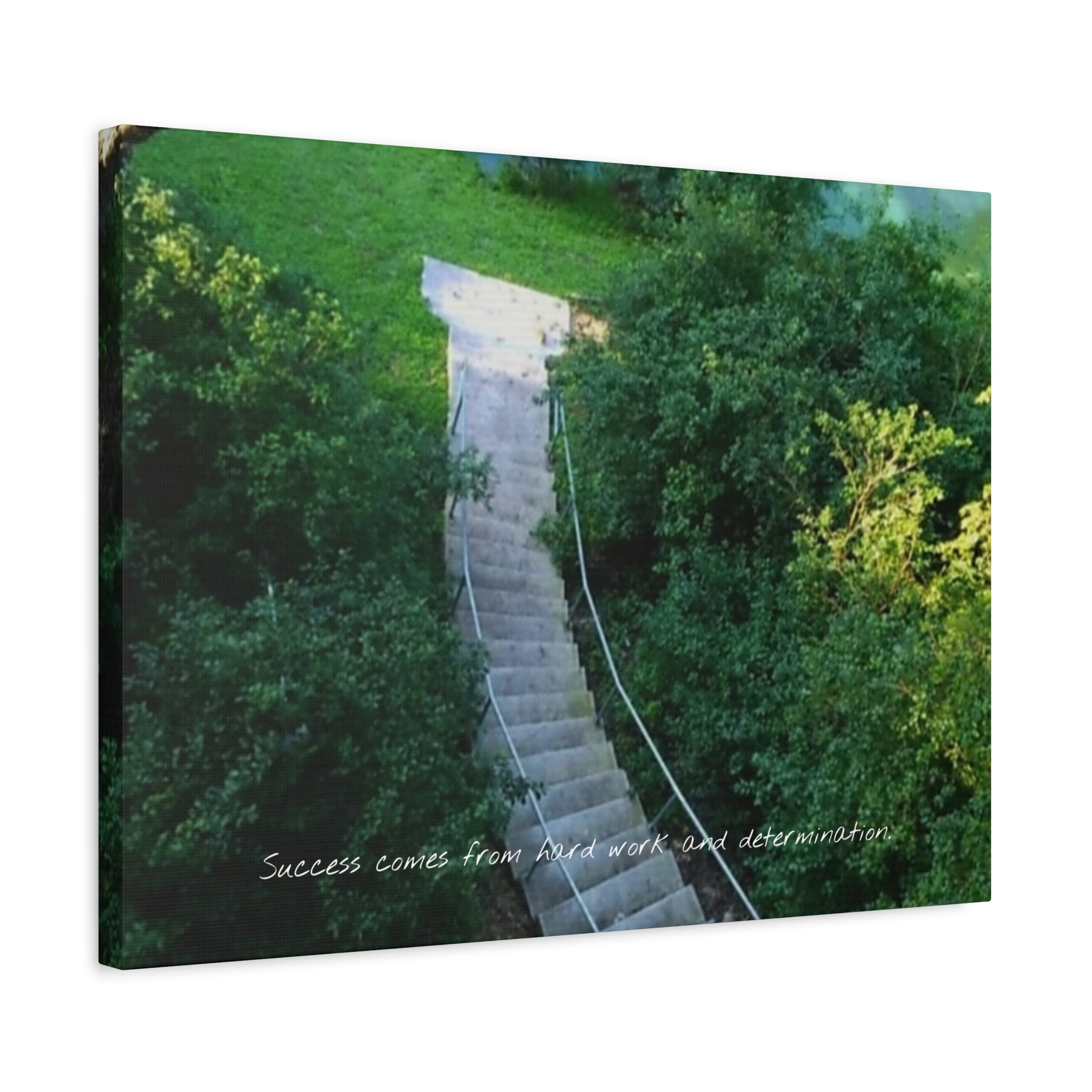 Motivational Wall Canvas — “Success Comes From Hard Work and Dedication” Matte Stretched Print
