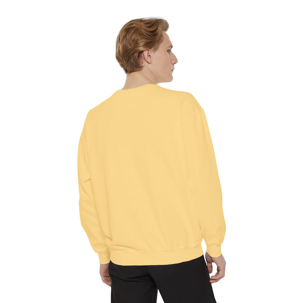 Silly Cat Sweatshirt
