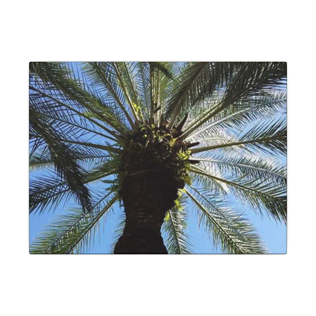 Palm Tree Matte Canvas Wall Art - Tropical Vibe