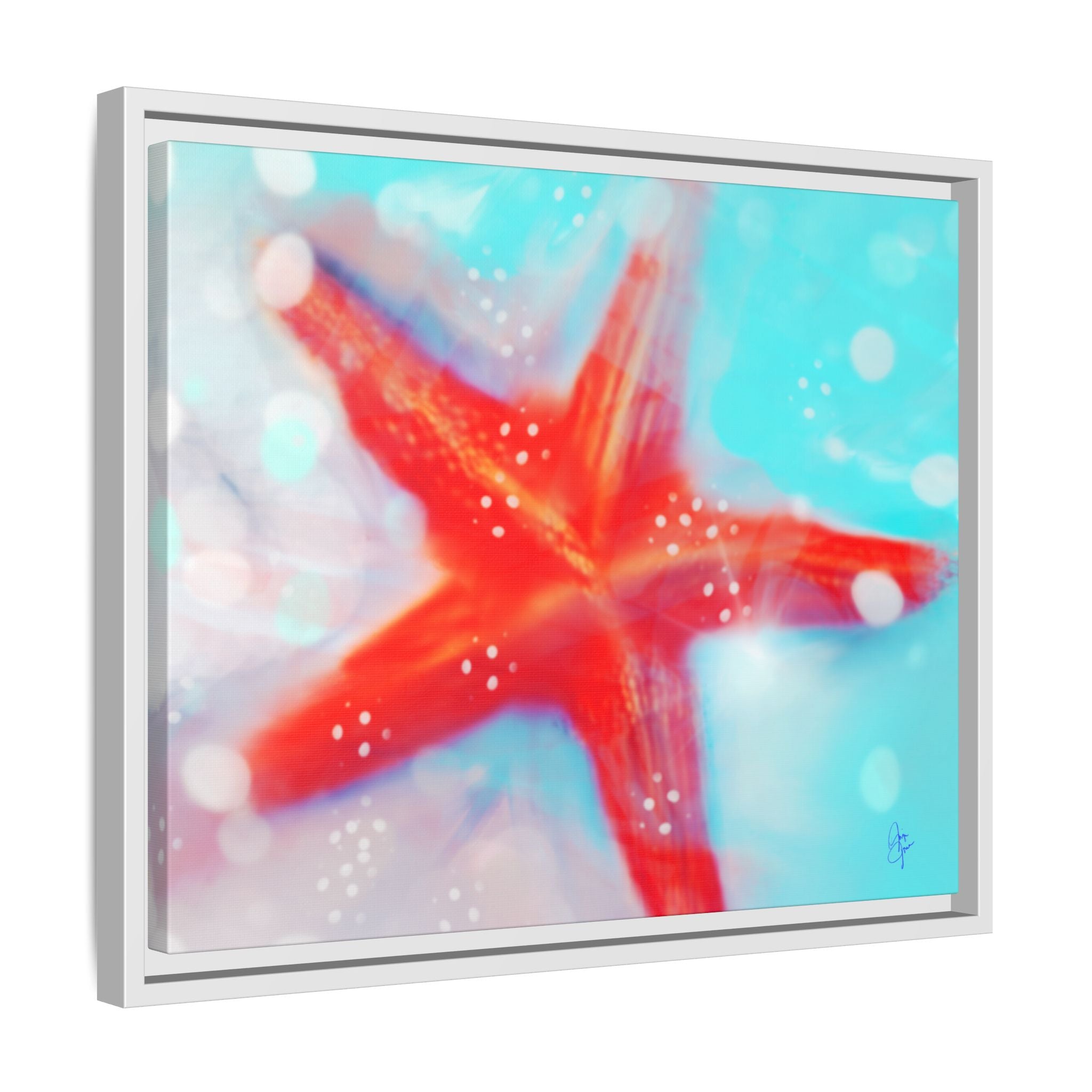 Starfish Life