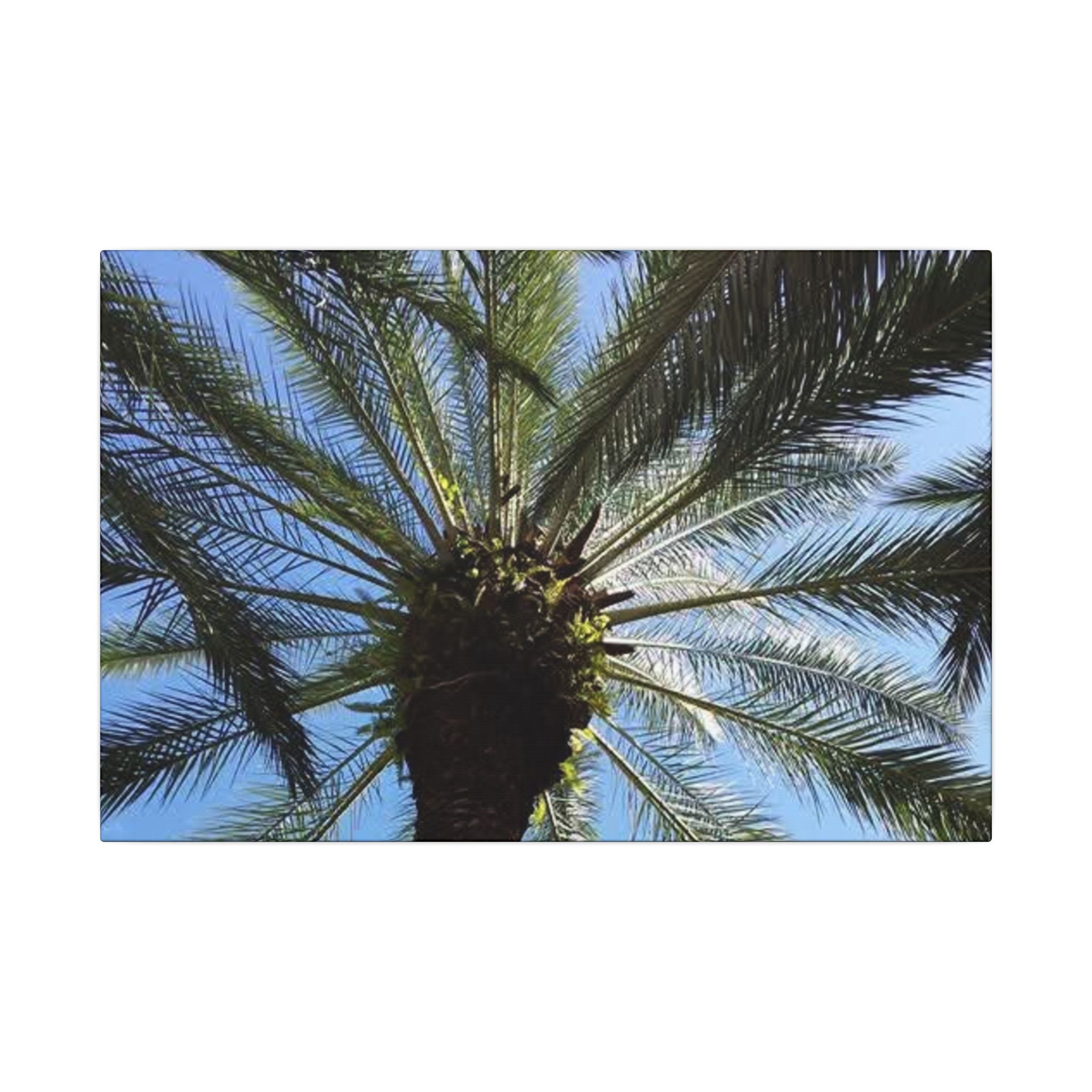 Palm Tree Matte Canvas Wall Art - Tropical Vibe