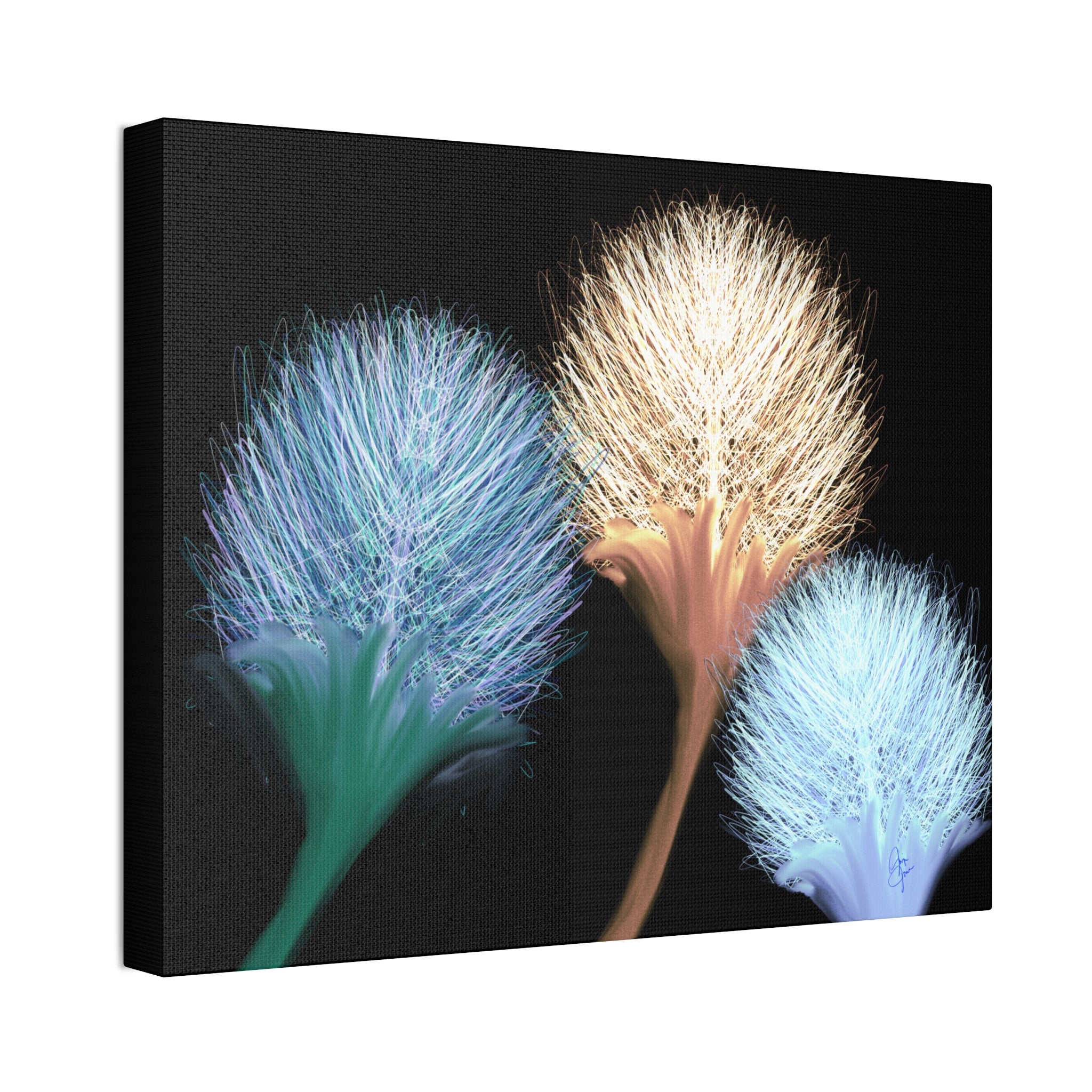 Floral Frond Canvas