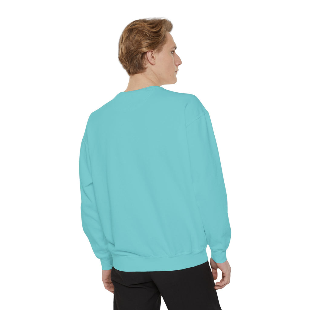 Silly Cat Sweatshirt