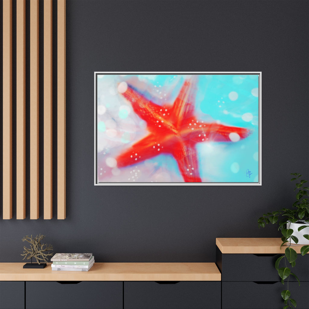 Starfish Life
