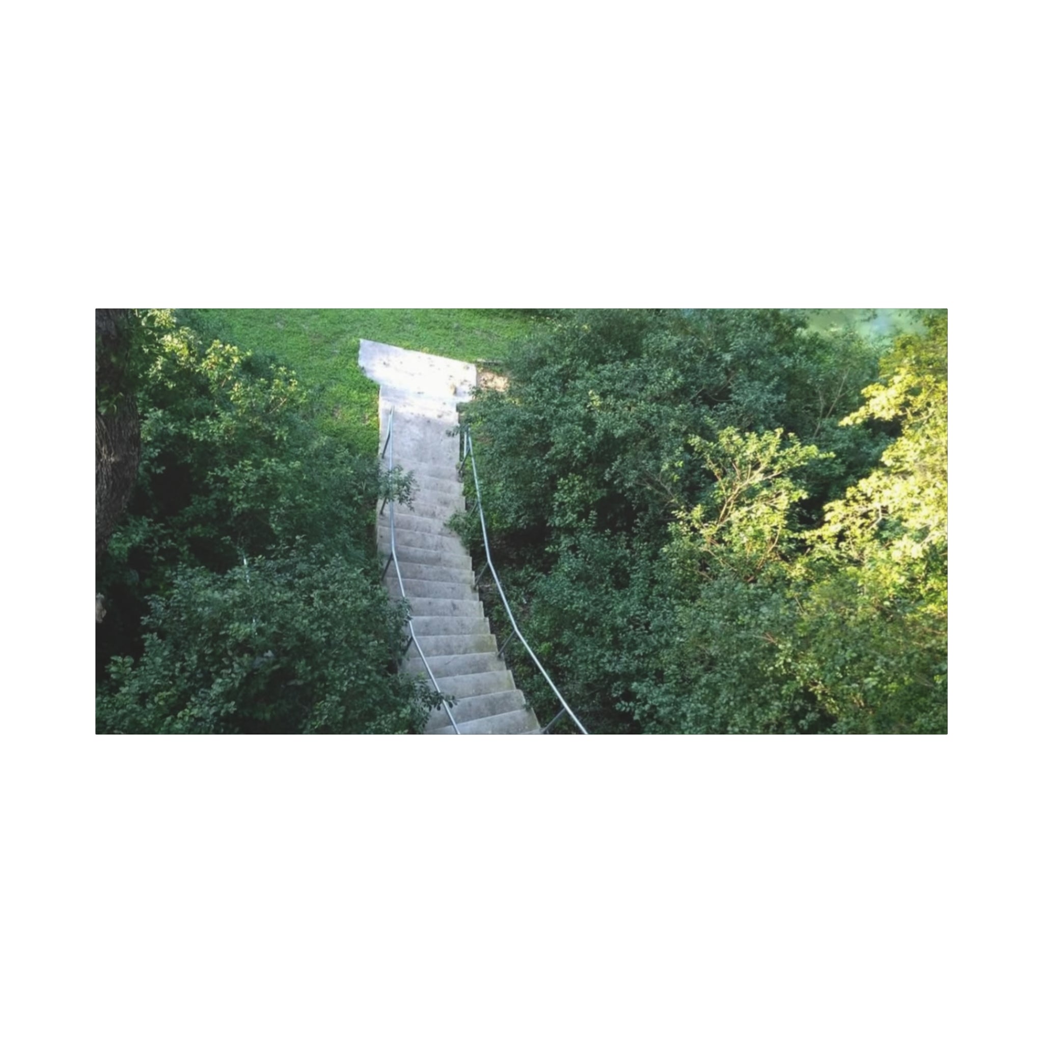 Canvas Wall Art - Forest Stairway Matte Stretched Canvas (1.25")