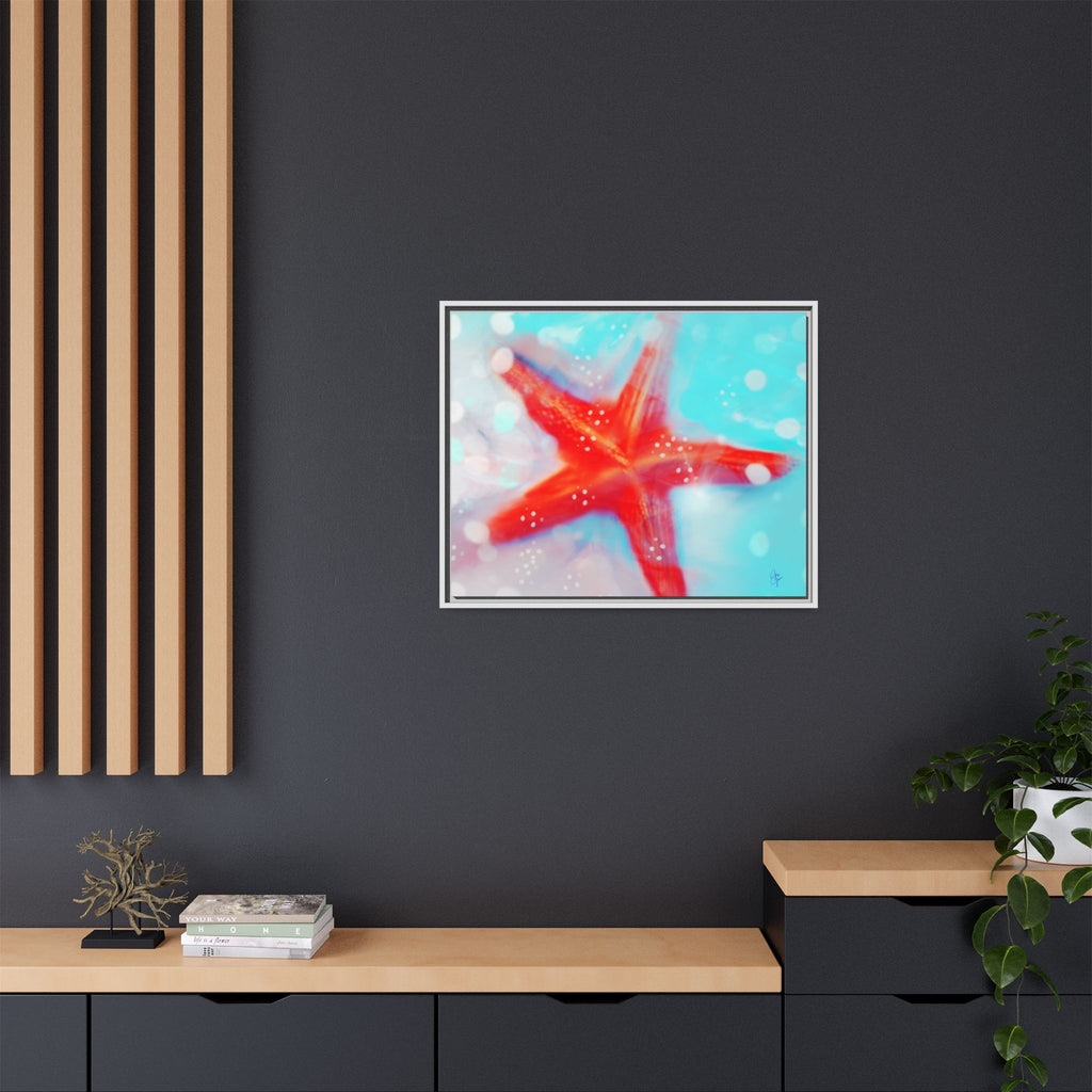 Starfish Life