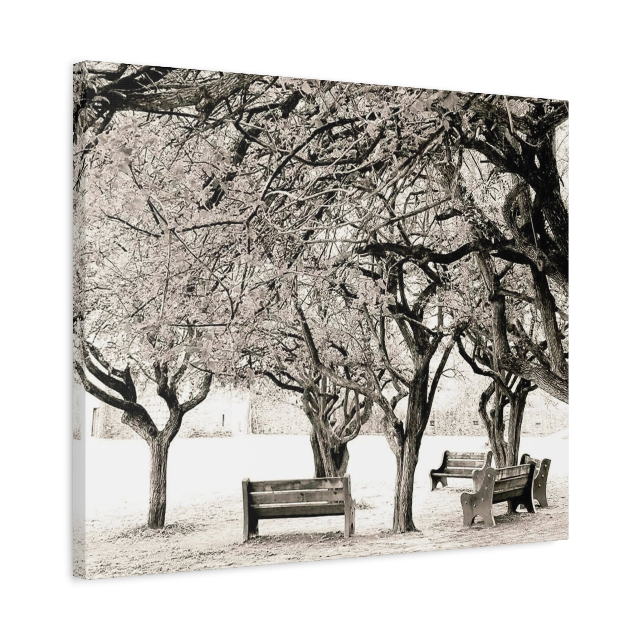 Matte Stretched Canvas Print — Vintage Park Bench Trees Wall Art