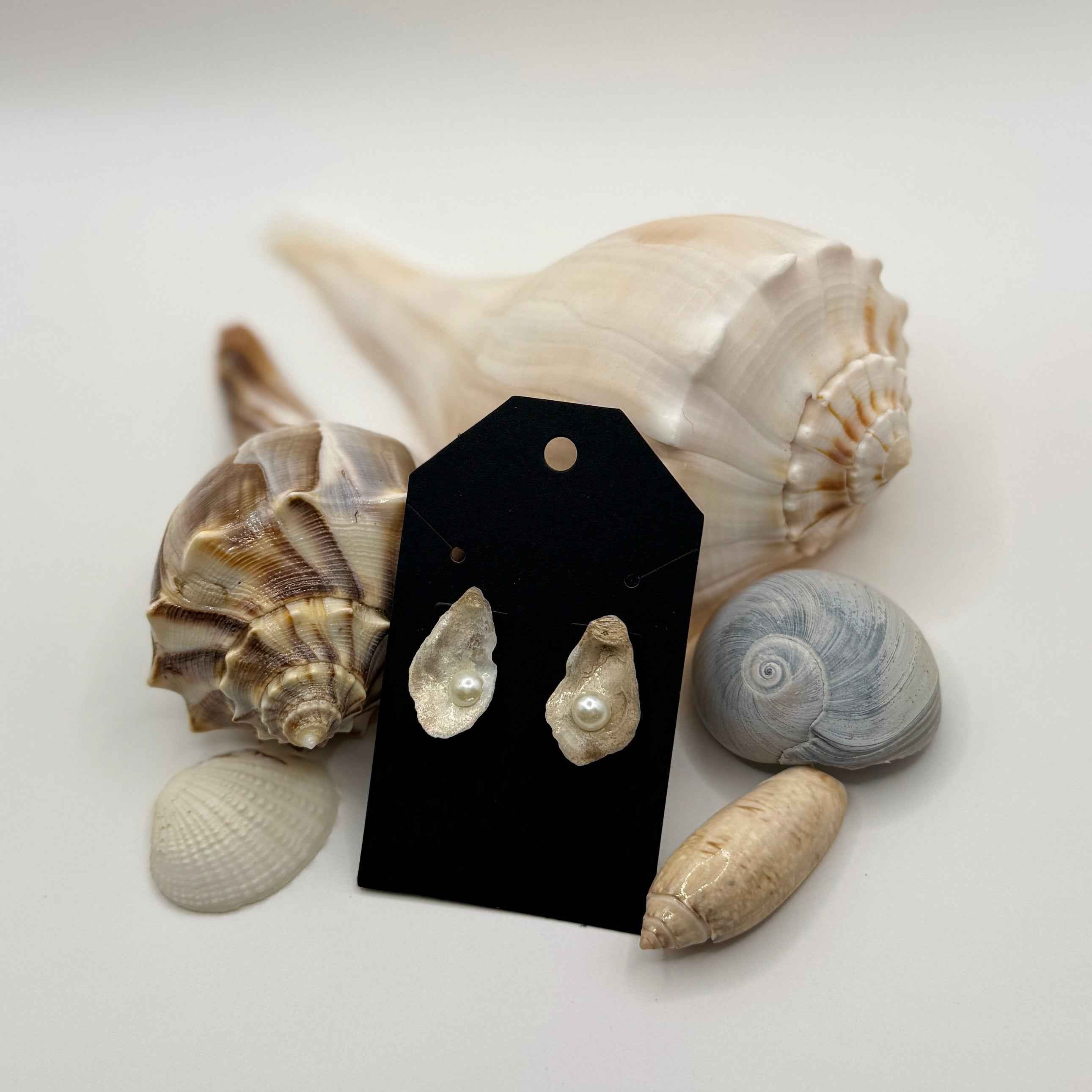 Oyster Shell Stud Earrings