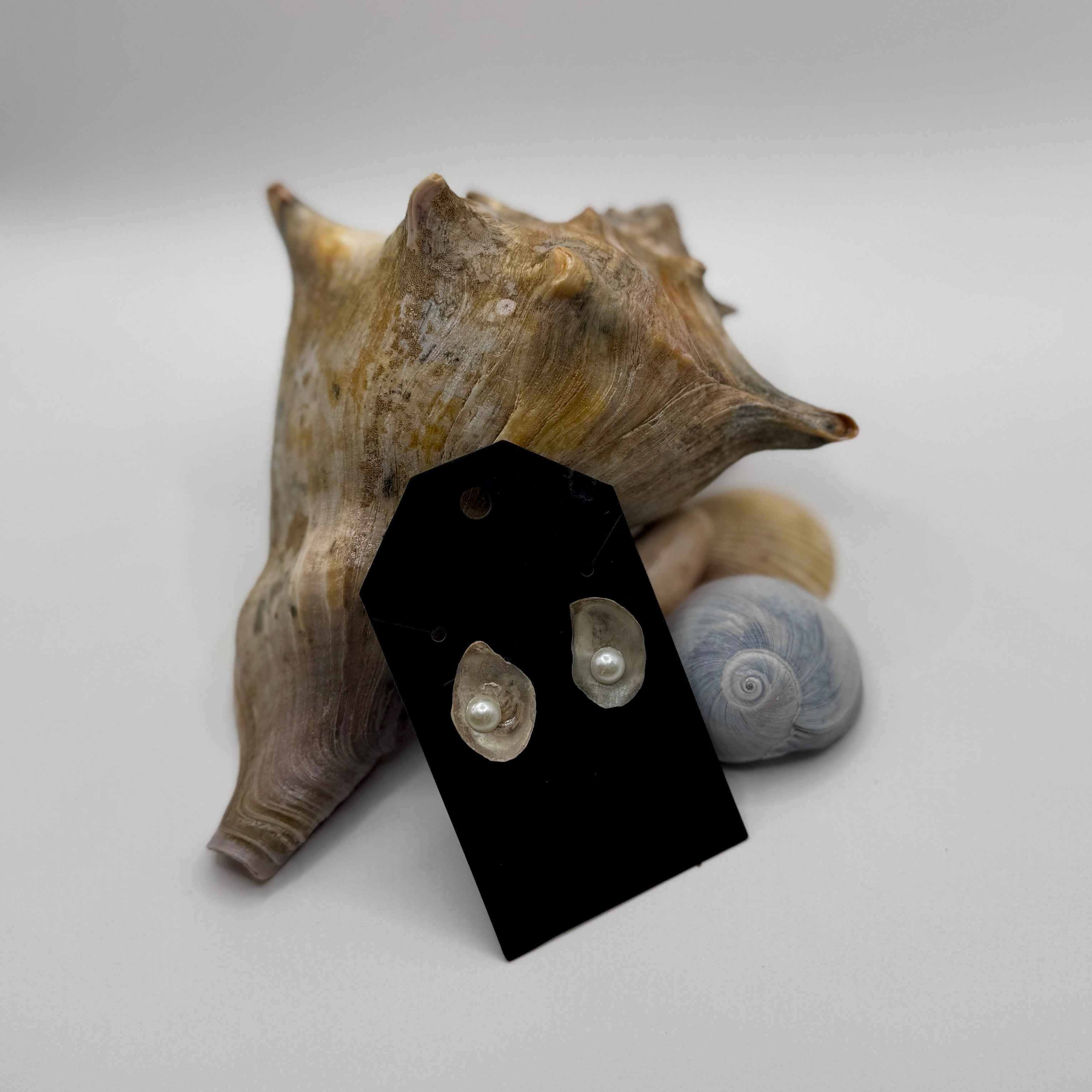 Oyster Shell Stud Earrings