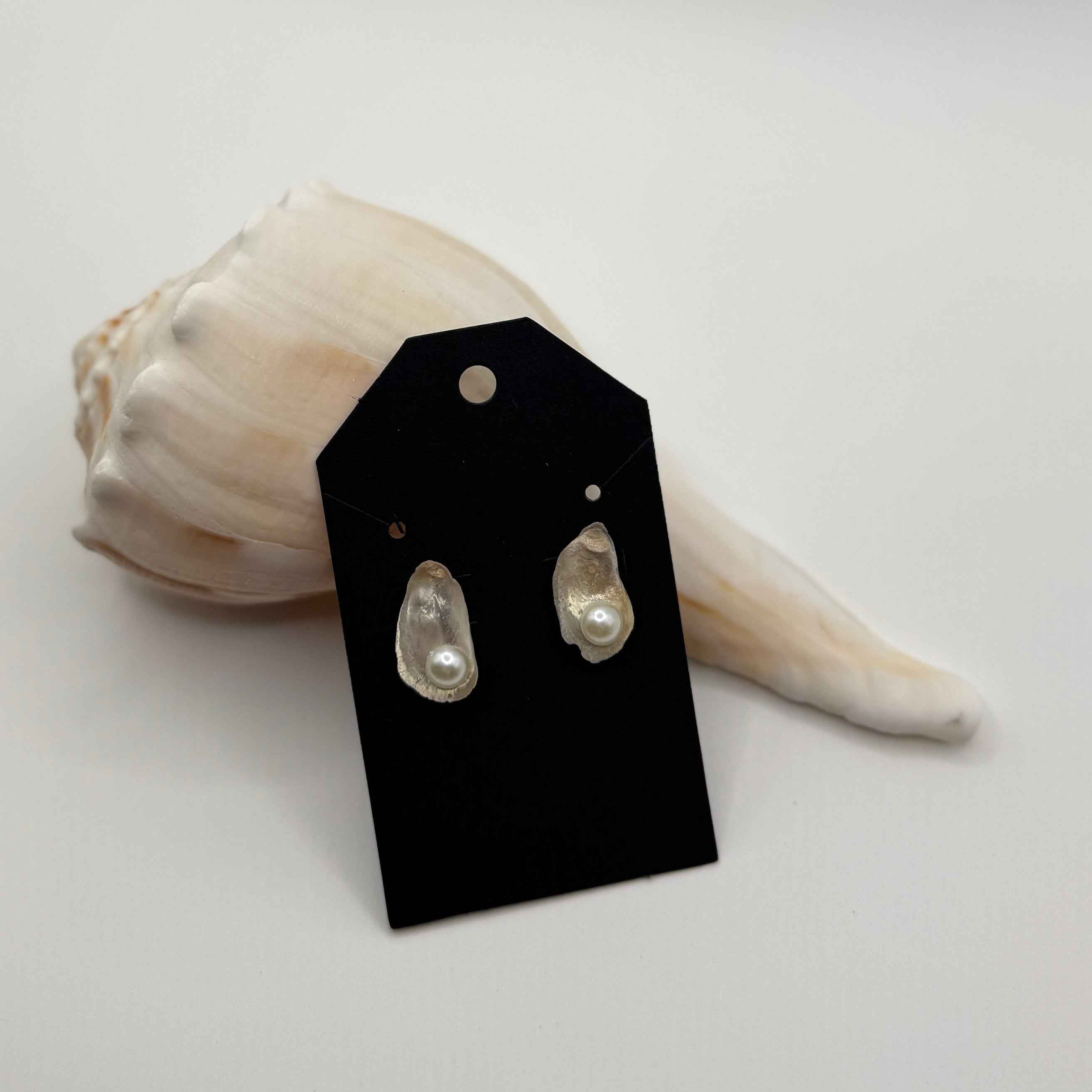 Oyster Shell Stud Earrings