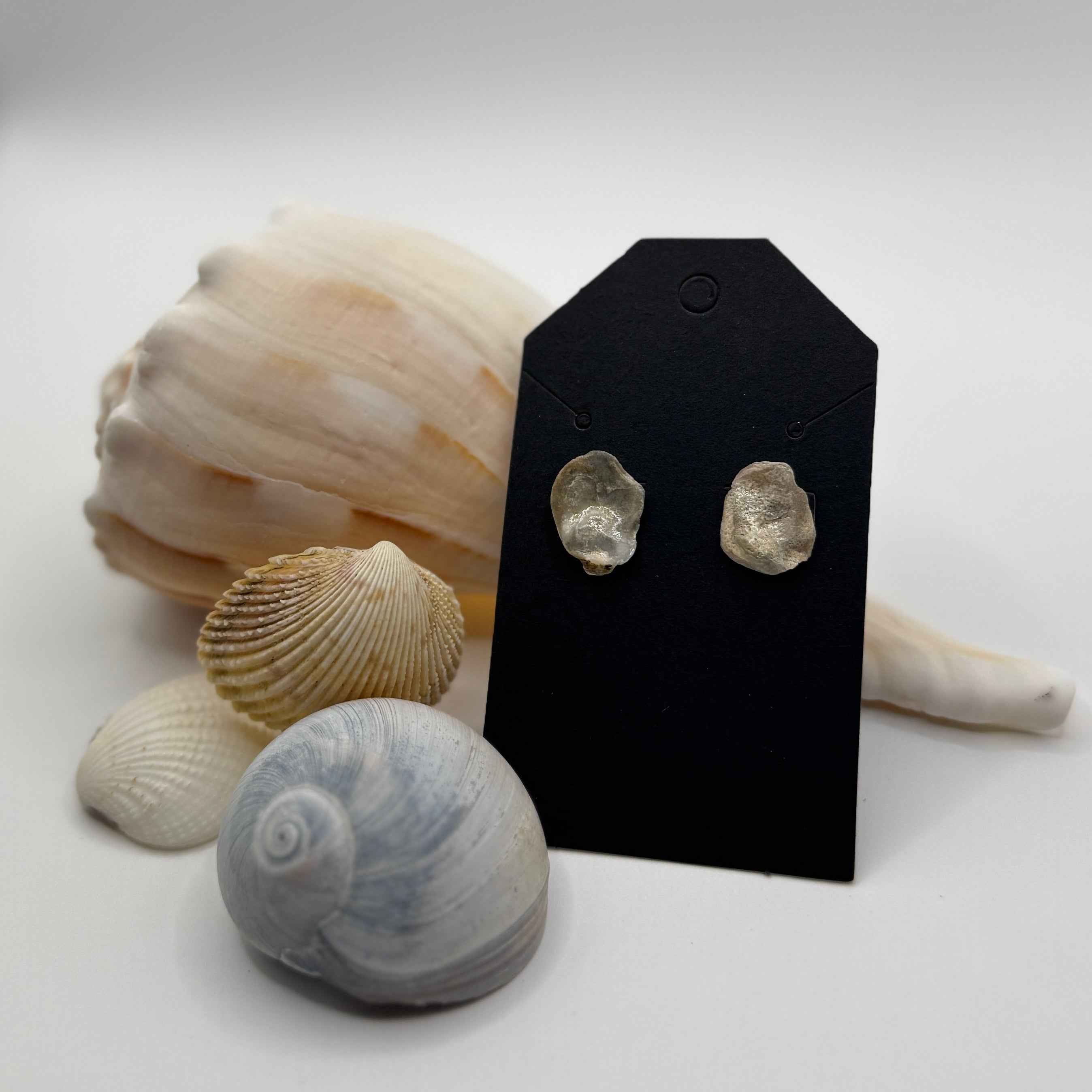Oyster Shell Stud Earrings